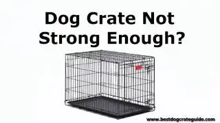 Heavy Duty Gorilla Tough Indestructible Escape Proof Dog Crates