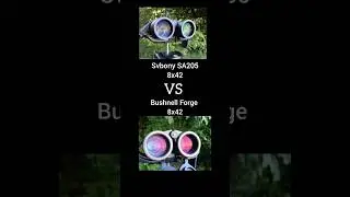 Battle of the Binoculars: SVBONY SA205 vs Bushnell Forge #Shorts