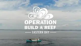 Operation Build-a-Reef: Eastern Bay
