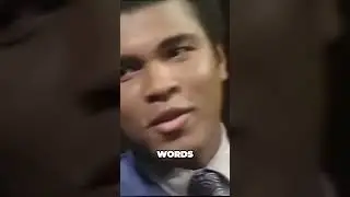 Unbelievable Car Loss The Shocking Truth Behind Ali Prediction