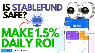 Is Stablefund Safe?! 🤔🚩🚩