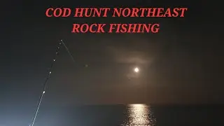 Addiction or hobby??COD fishing from Craster Northumberland #cod#codfishing#fishing #northumberland