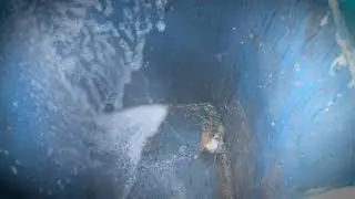 30 Seconds - How to clean your Wheelie Bin