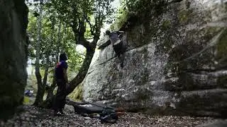 Hippy Hop 7a?, Rozas