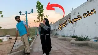 زرعنا شيح وفل وياسمين و انتهينا من زراعة الورود في الحوش