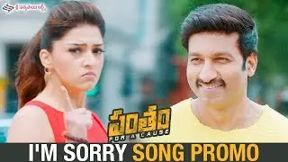 I'M Sorry Video Song Promo | Pantham Movie Songs | Gopichand | Mehreen | Sri Sathya Sai Arts