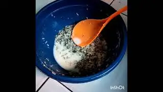 UMPAN VIRAL ‼️ SUTEL BERANI ADU 😁😁✌️