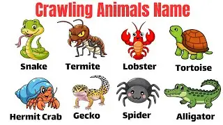 Crawling animal name | Crawling Animals for Kids 🐍🐜 | Learn 40 Creeping Animals Names