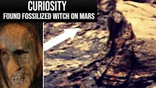 NASA's Mars Curiosity Rover shared this new image on Martian surface with Perseverance Rover Pics