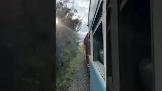 Curtindo a sinfonia da G12 #ferrovia #rffsa #traintravel  #locomotiva #ferroviadotrigo