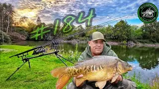 KARPFENANGELN VTB #184 - Sternstunden am Baggerloch / Wie geht es weiter mit meinem YouTube-Kanal ?