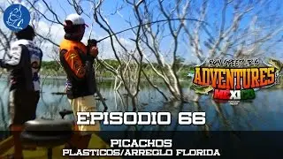 Vamonos de Pesca - Episodio 66 - Picachos 2a Parte