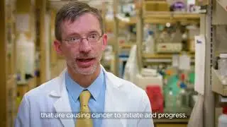 Unstoppable: Dr. Lee | UPMC Hillman Cancer Center
