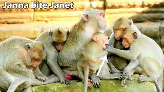 Protecting milk..! Cute Janna bite hand Janet​ as warn when Nasty Janet touch tit mom Jane