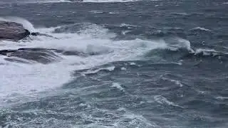 Stiv kuling Vester&oslash;ya Sandefjord