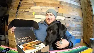Bark Box Super Chewer Box Delivered for January 2020 - Watch to See what Cooper Thinks!