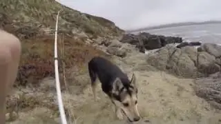 Fishing the Head of the Bay