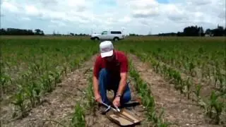 Corn Nematode Sampling Procedures