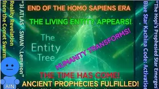 Entity Revelation from 3I Comet Cluster&mdash;Blue Star Code Activation&mdash;Humans Transform &mdash; Living Entity ★
