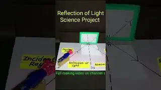 Reflection of light science project working model #shortsfeed #youtubeshorts #shorts #shorts