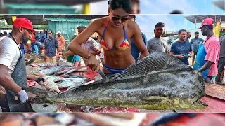 AMAZING SUPER ITERESTING HUGE FISHES CUTTING ON STREET BY EXPERT MASTER FISH CUTTING SHOW