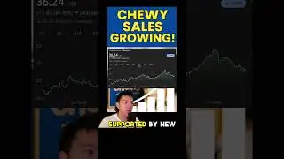 Is Chewy the Best Pet Stock Right Now?