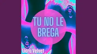 Tu no le brega