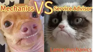 Mechanics vs Service advisors