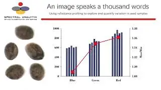 Seed exploration with hyperspectral imaging