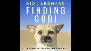 Finding Gobi (Main edition): The true story of a little dog and an incredible journey