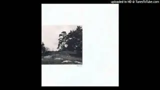 Varg - Raggarsvin