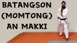 TAEKWONDO INWARD PALM PRESSING BLOCK - BATANGSON (MOMTONG) ANN MAKKI - BY MASTER PARMINDER