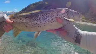 NZ Flyfishing Ahuriri