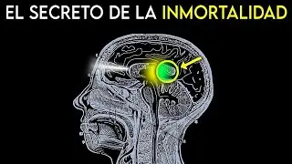 La Retención Seminal te hace INVENCIBLE