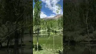 Parsan valley most beautiful village in chitral| Khyber pokhtunkha Pakistan 🇵🇰#short #trip #video