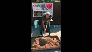 Грунт для выгонки тюльпанов