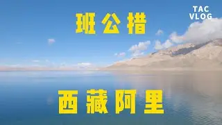 环华半年081：西藏最后一站狮泉河，买个热水袋准备过冬| 班公错边喂海鸥！这个跨境湖泊竟然这么