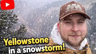 Truck Camping Yellowstone National Park in a Snow Storm!
