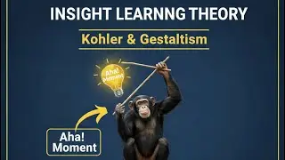 कोहलर का सूझ/अंतर्दृष्टि सिद्धांत: Gestaltism | HTET 2026 CDP Class 07
