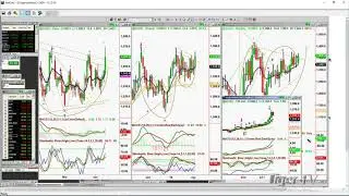 Basil Advises on Trading YY