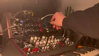 Analog Jam #1 | Techno | Behringer Model D & CAT