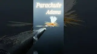 The One Minute Parachute Adams!!!