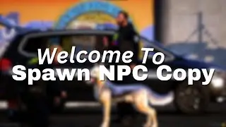 Spawn NPC Copy - FiveM Script