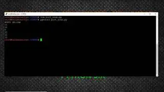 Port Scan com Python