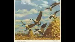 Antique Bird Prints