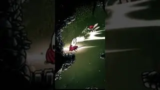 Boss attack hollow knight silksong 3