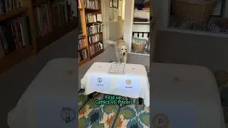 Dog predicts the NBA conference finals