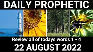 Daily Prophetic 22 August 2022 All Words