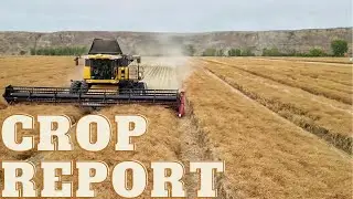 Crop Report - September