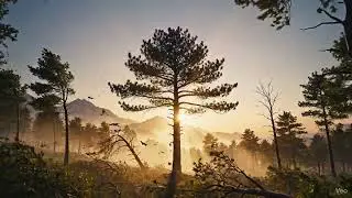chinese wisdom quote - when the wind rises, the staedy one moves fast,